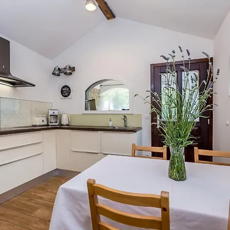 Holiday home Kuca Za Odmor Dunja Sa Privatnim Bazenom